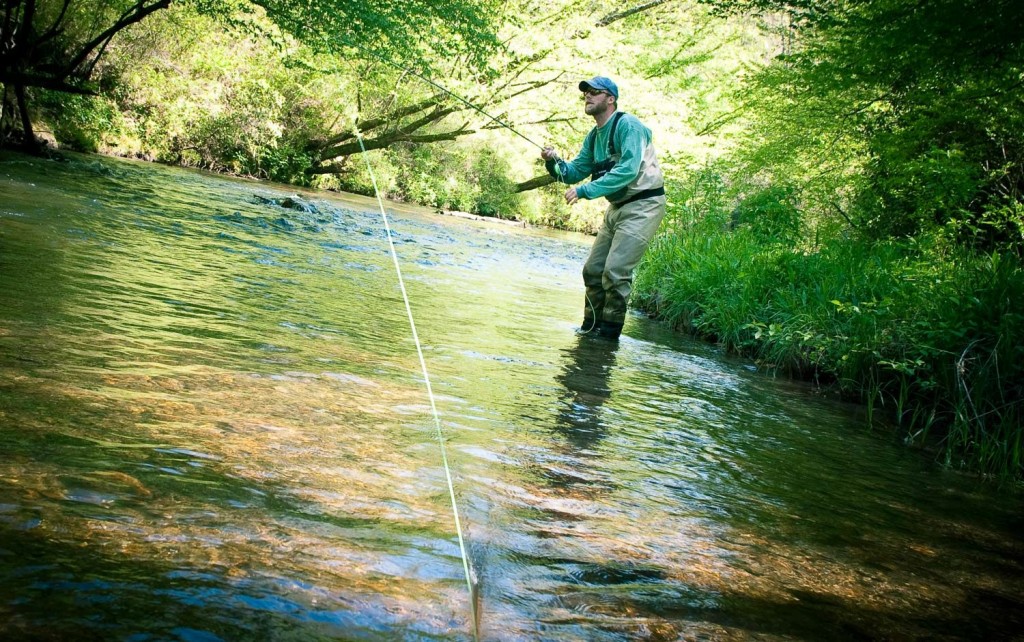 The Water Haul Cast Slow Your Roll Fly Fishing Gink and Gasoline
