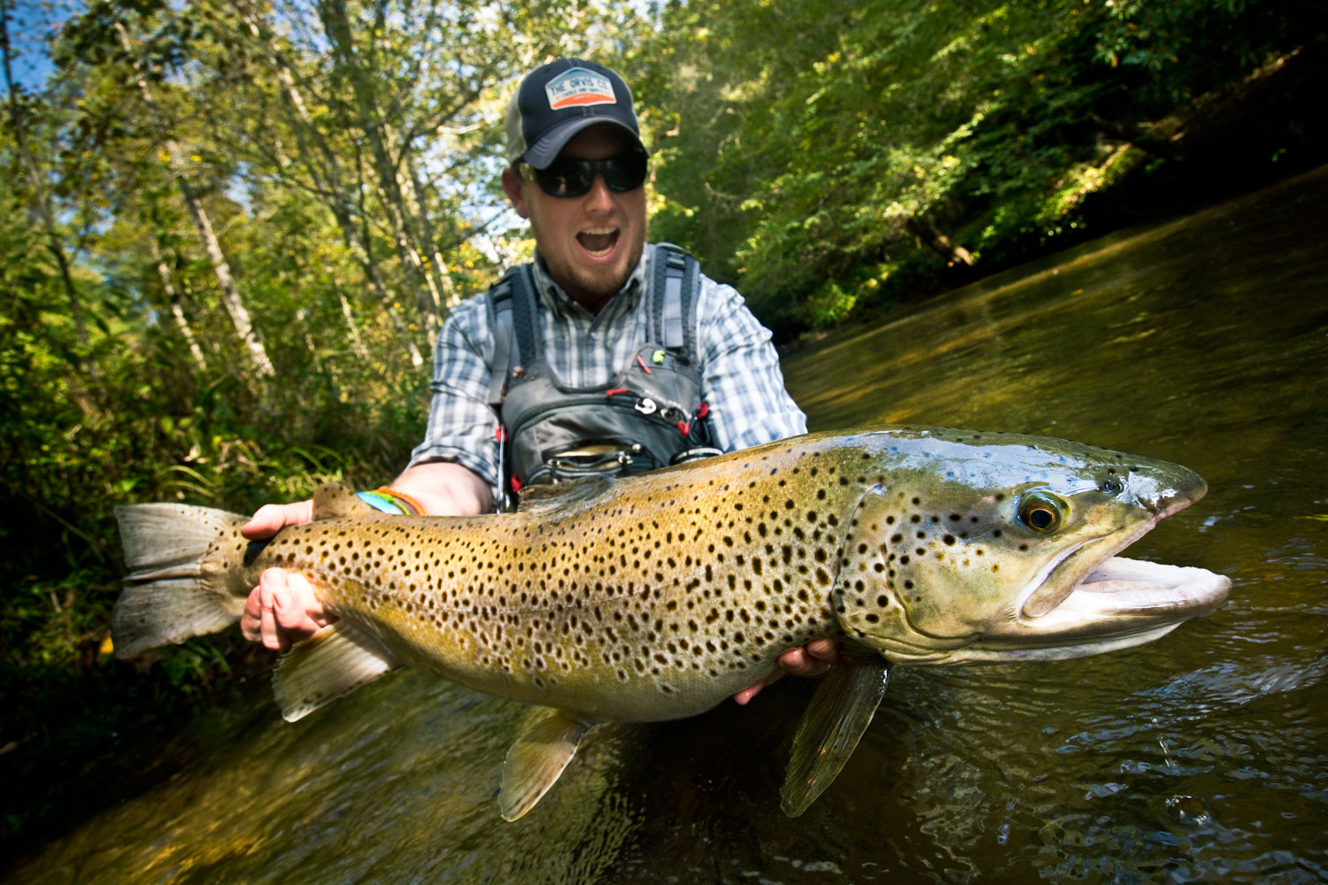Catch Trophy Brown Trout By Stacking The Odds In Your Favor  Fly Fishing  Gink and Gasoline 