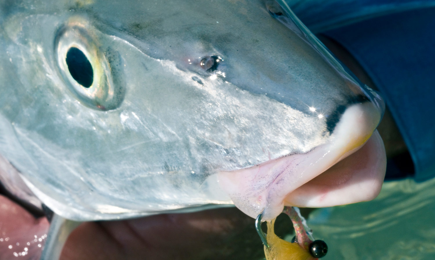 South Andros, A Love Story - Fly Fishing, Gink and Gasoline