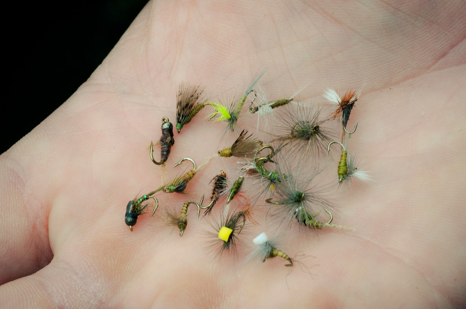 Covering a Hatch Starts with Carrying the Right Flies - Fly