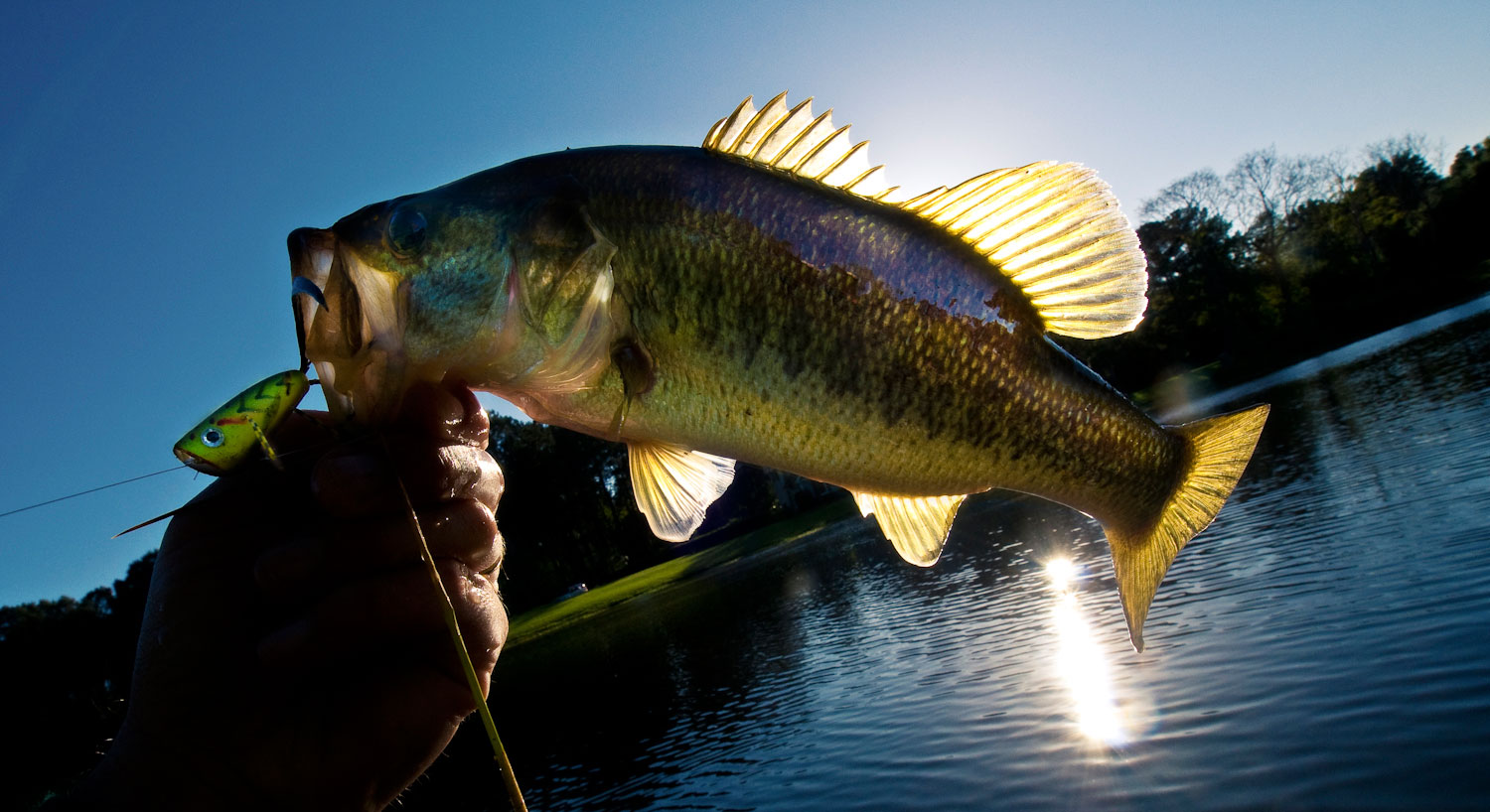 The In-Law's Bass Pond - Fly Fishing, Gink and Gasoline, How to Fly Fish, Trout Fishing, Fly Tying