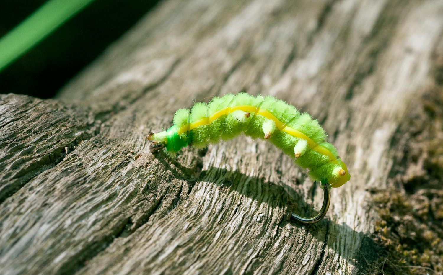 The Moth Larva Hatch - Fly Fishing, Gink and Gasoline, How to Fly Fish, Trout  Fishing, Fly Tying