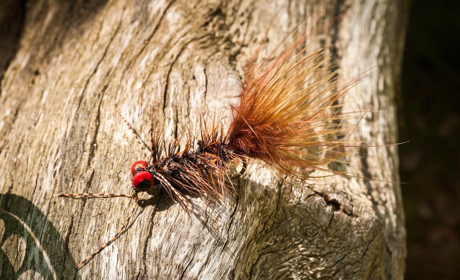 Fly Fishing: The Woolly Bugger Isn't all that, Or is it? - Fly