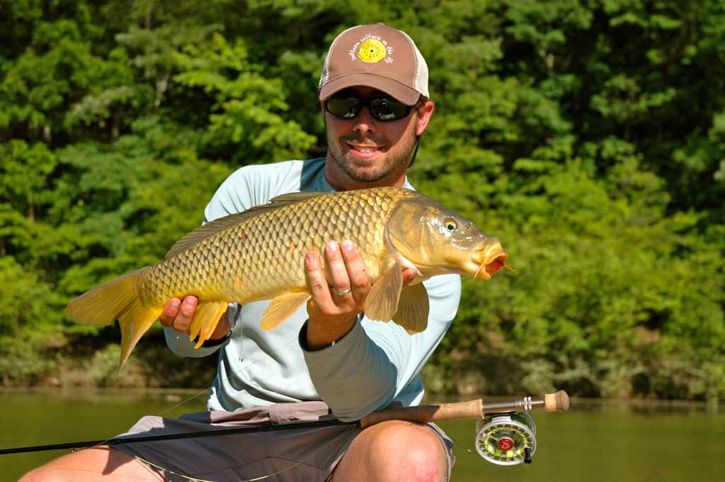 Carp on the Fly – 12 Q&A's to Get You Ready - Fly Fishing, Gink and  Gasoline, How to Fly Fish, Trout Fishing, Fly Tying