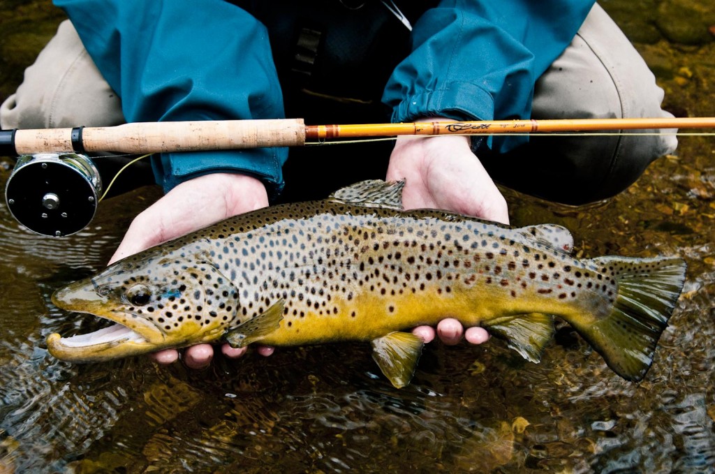 Scott Fly Rods - Fly Fishing, Gink and Gasoline