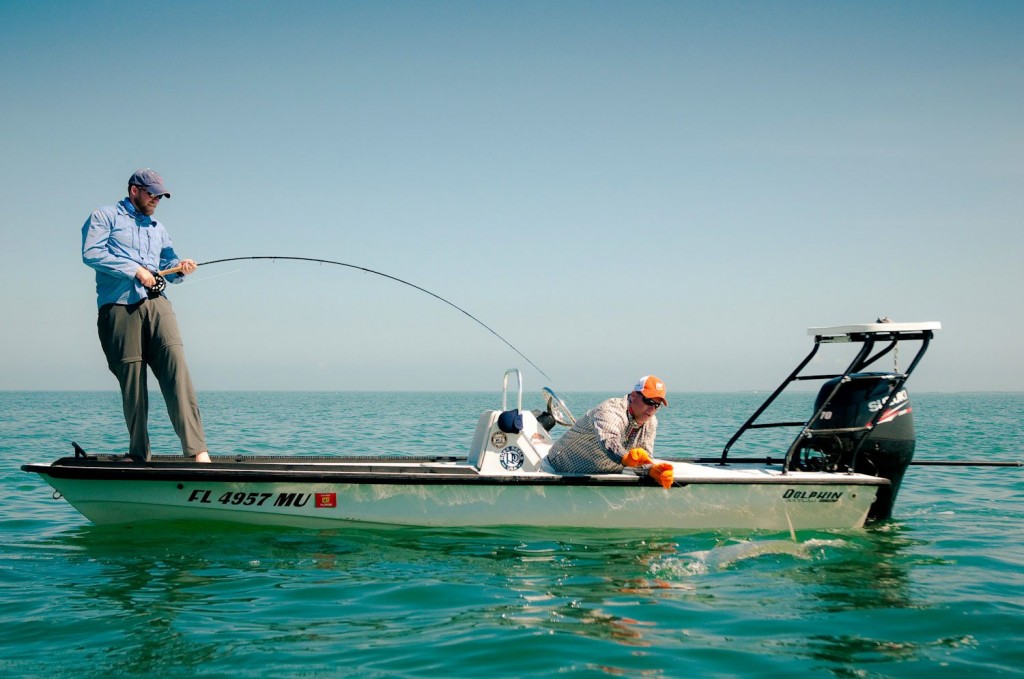 The Fight Isn’t Over When You Get a Tarpon BoatSide Fly Fishing