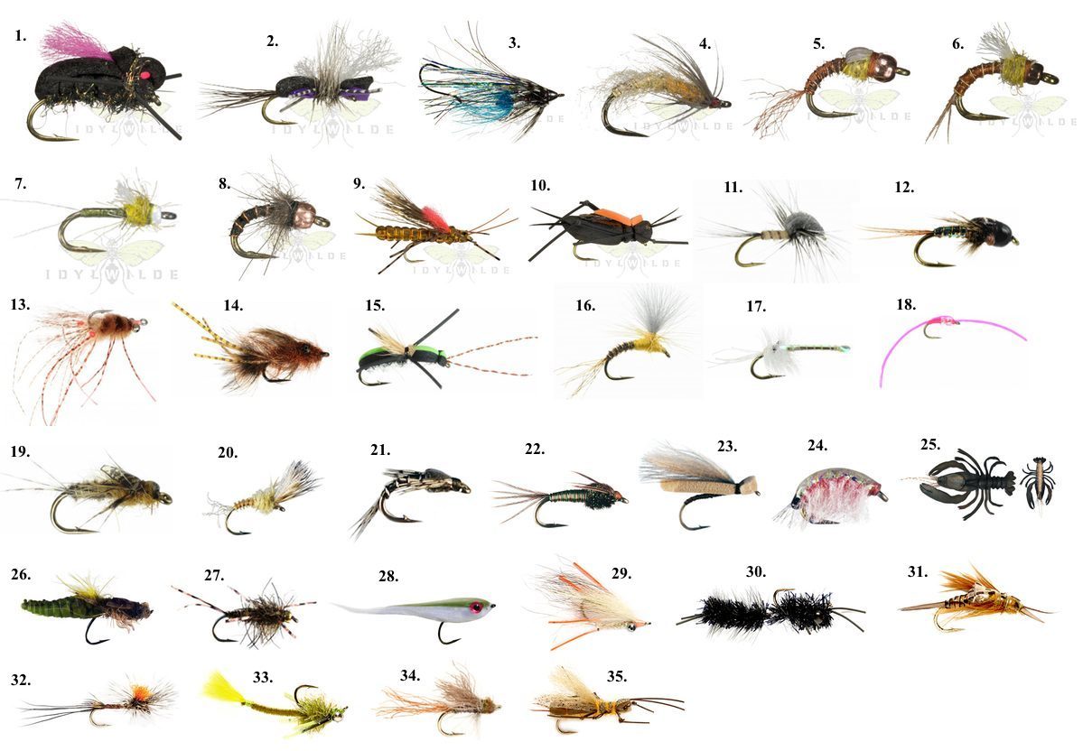 Top Mayfly Patterns