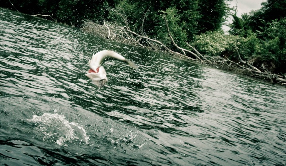 Fly Fishing Tactics for Bass in the Fall Fly Fishing Gink and