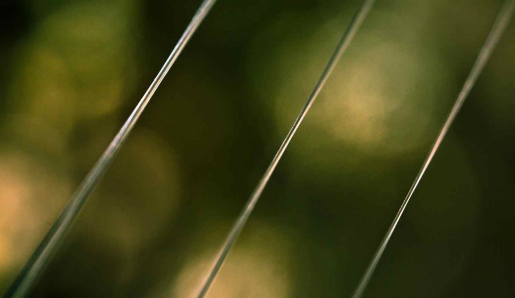 Fly Fishing Why Tippet Size Can Be More Important With Nymphs Fly