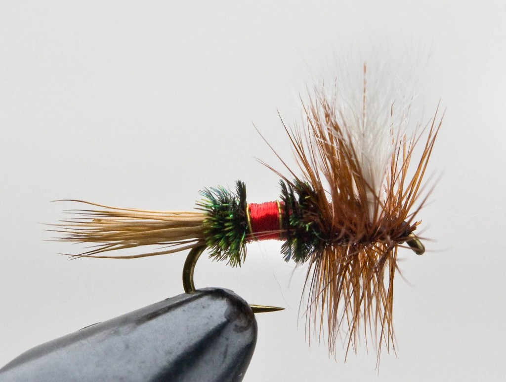 Top 10 Trout Flies For The American West Fly Fishing Gink and