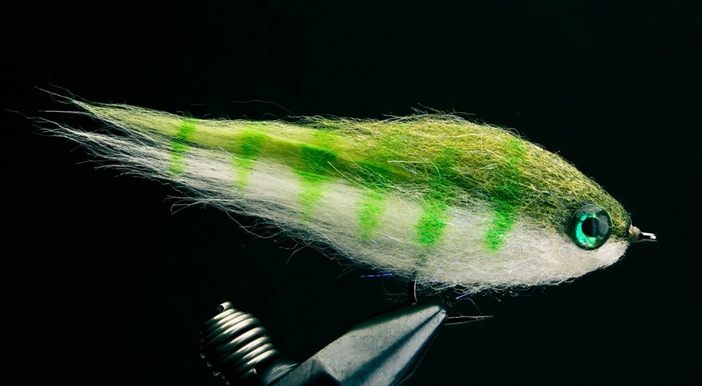 Tie Connor’s Jerk Minnow Fly Fishing Gink and Gasoline How to Fly Fish Trout Fishing