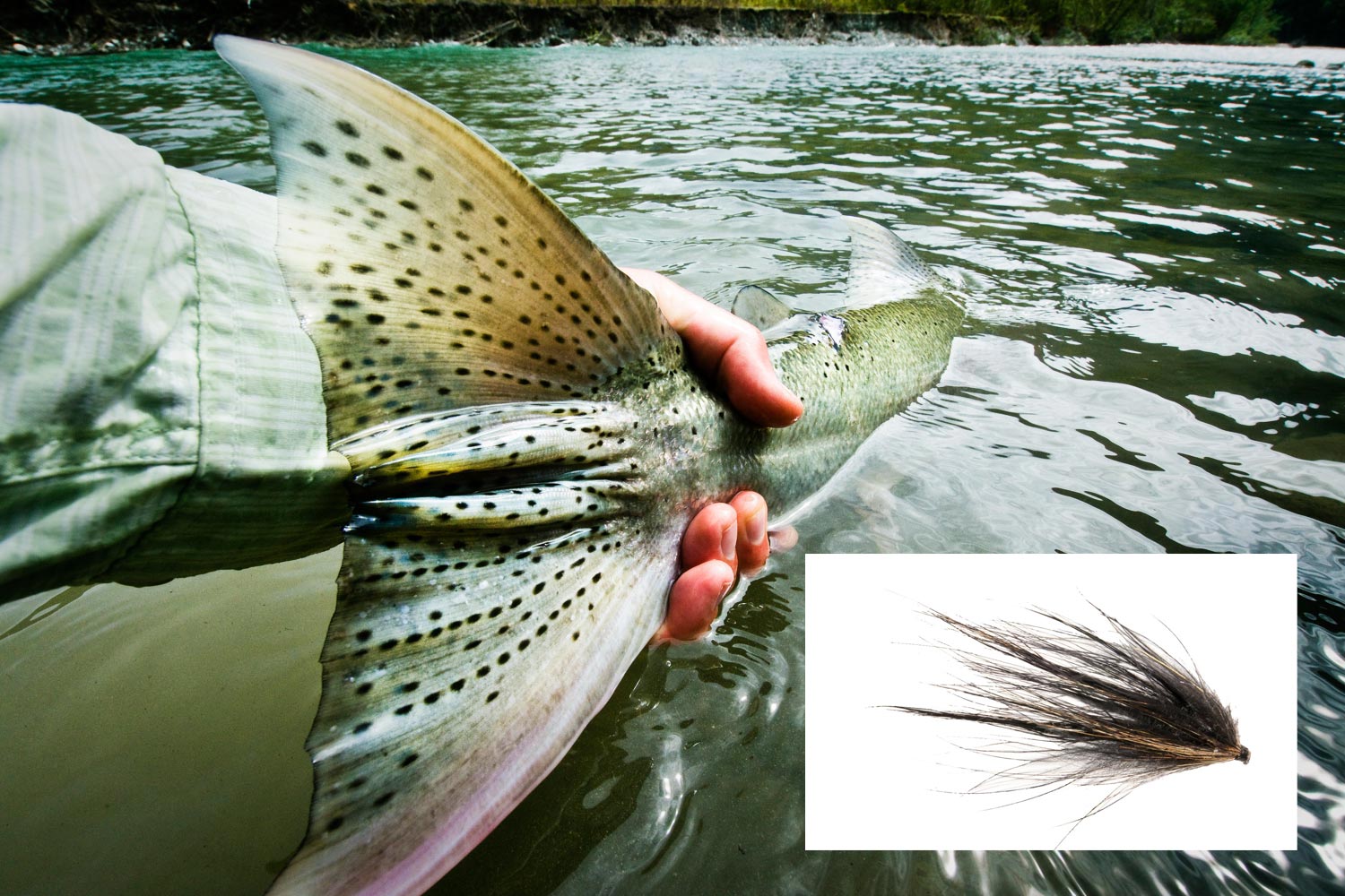 Flies That Catch Big Trout, The Truth Might Surprise You - Fly Fishing, Gink and Gasoline, How to Fly Fish, Trout Fishing, Fly Tying