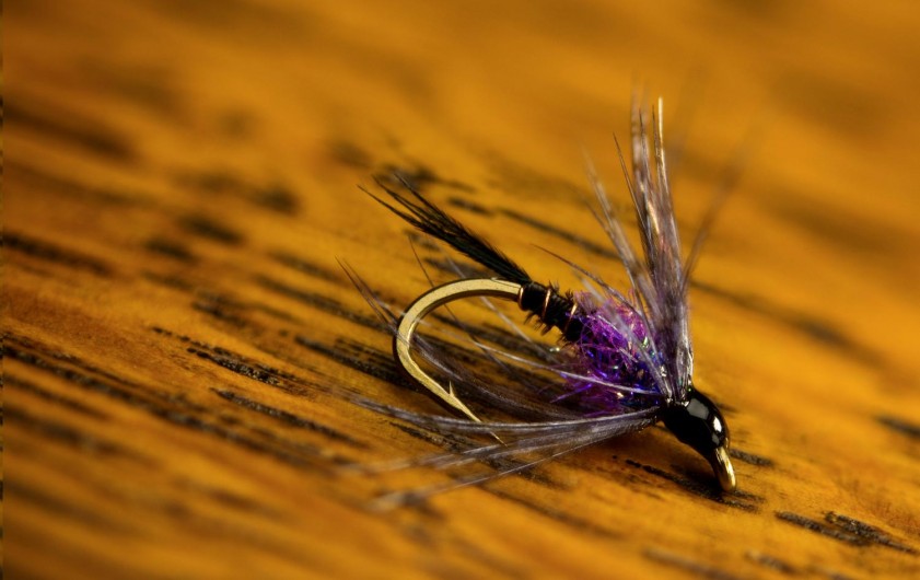The Magic of Soft Hackles Fly Fishing Gink and Gasoline How to