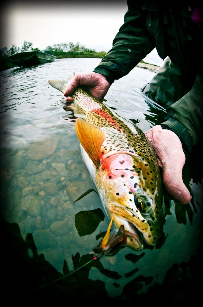 8 Tips On Photographing Fish Without Harming Them Fly Fishing Gink