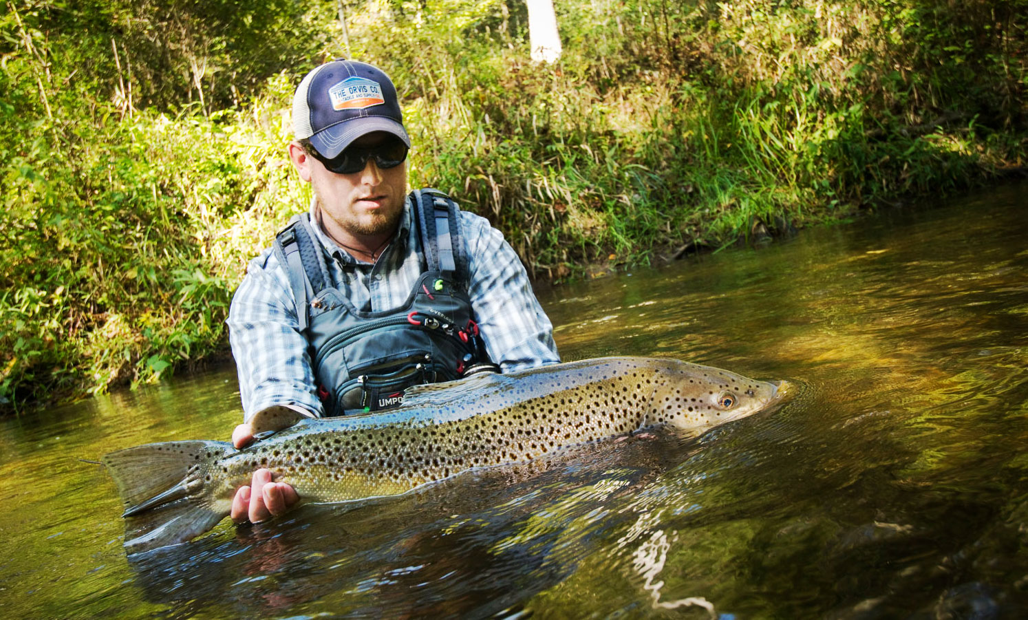 Catch Trophy Brown Trout By Stacking The Odds In Your Favor - Fly