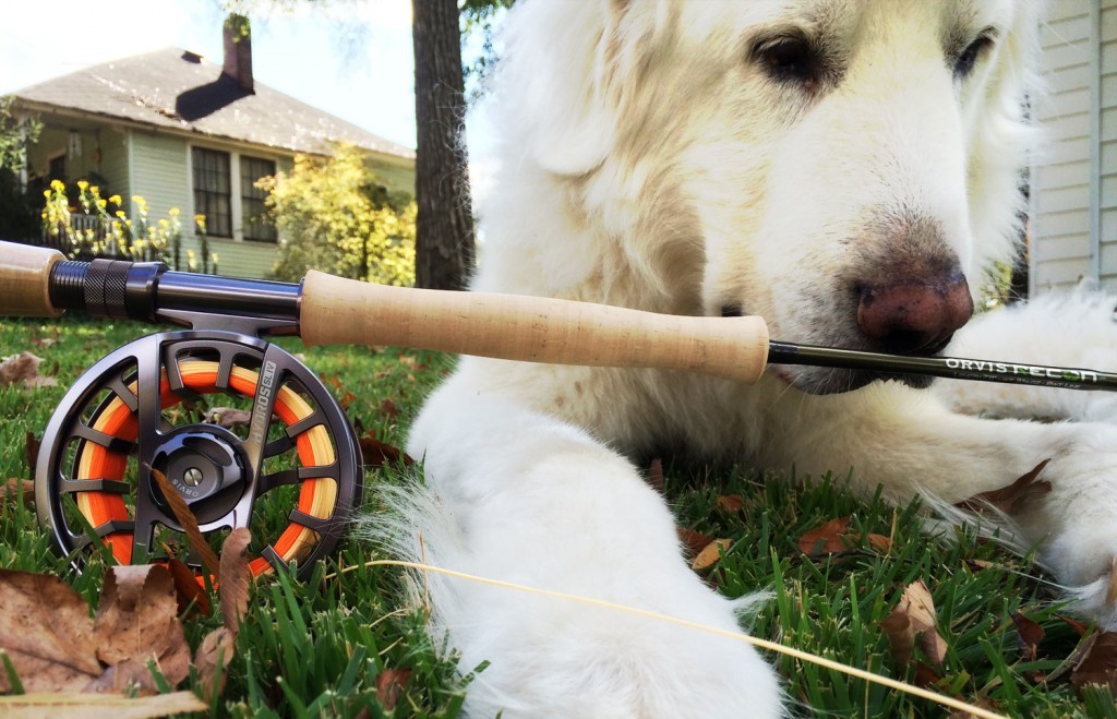 Improve Your Casting With A Dog Fly Fishing Gink and Gasoline How