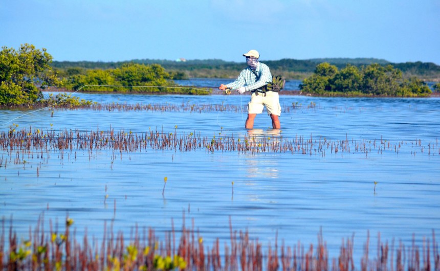 Fishing The Mangroves Fly Fishing Gink and Gasoline How to Fly