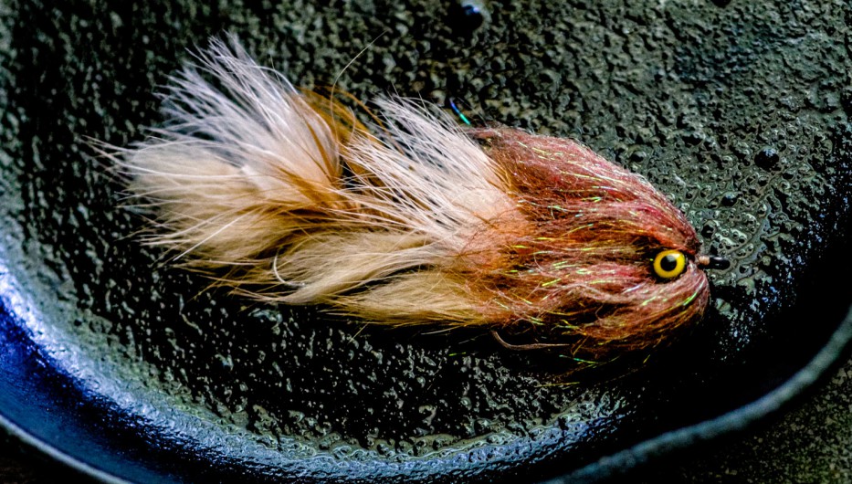 The Tennessee Bacon Fly Fishing Gink and Gasoline How to Fly Fish Trout Fishing Fly