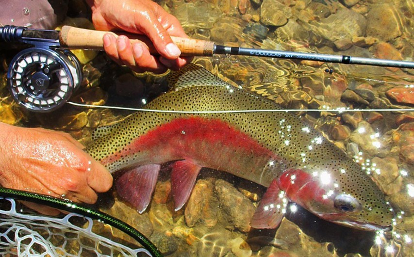 The Douglas SKY Fly-Rod Review - Fly Fishing | Gink and Gasoline | How ...
