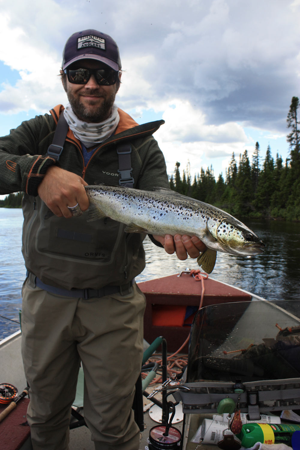 So Much More Than Brook Trout - Fly Fishing