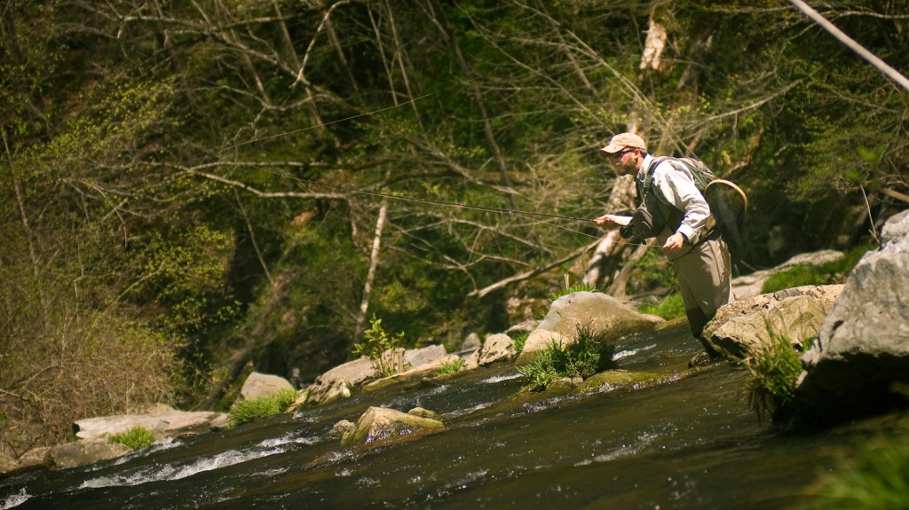 Does Casting Technique Matter For Small Stream Trout Fishing? Fly