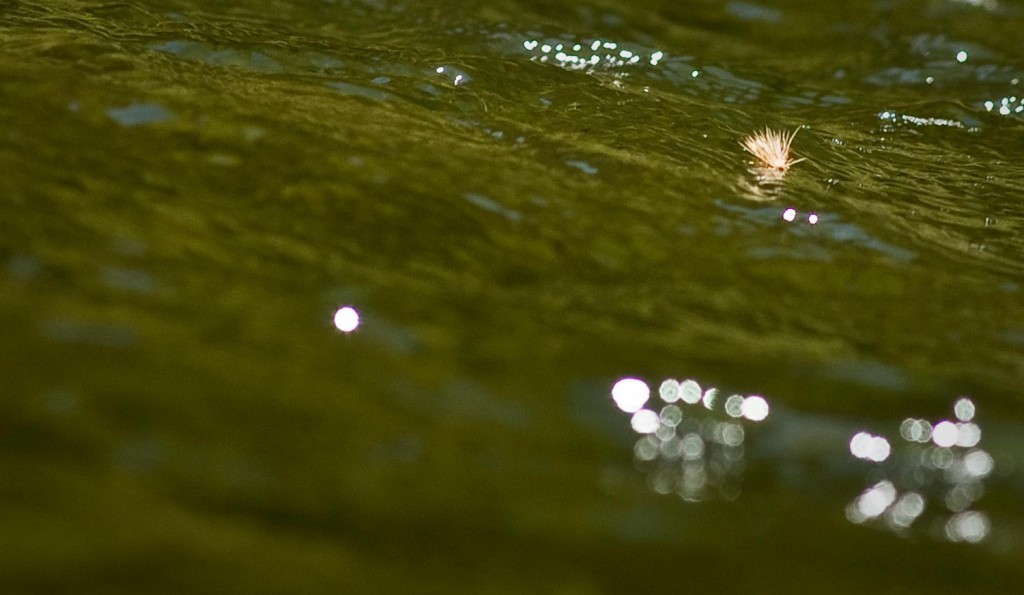 Dry Fly Fishing and the Dead Drift Fly Fishing Gink and Gasoline