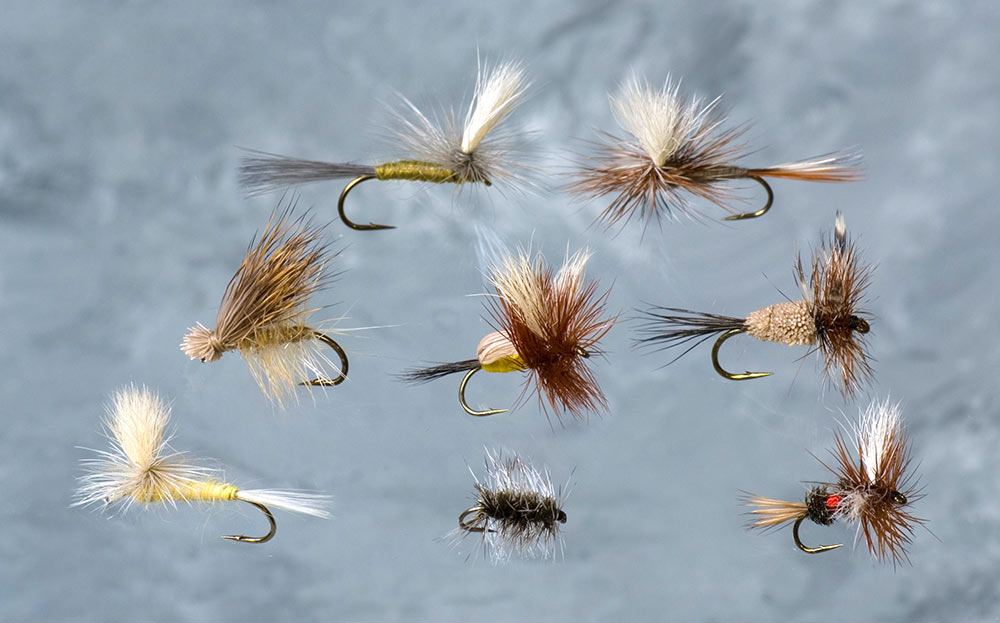 Dry Fly Fishing and the Dead Drift - Fly Fishing, Gink and Gasoline, How  to Fly Fish, Trout Fishing, Fly Tying