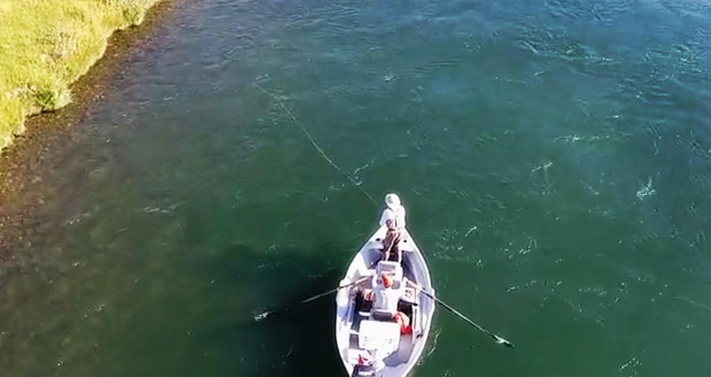 Saturday Shoutout / Simon Says Streamers Fly Fishing Gink and