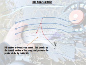 Bill-6