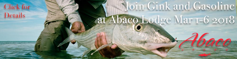 Abaco-Banner2