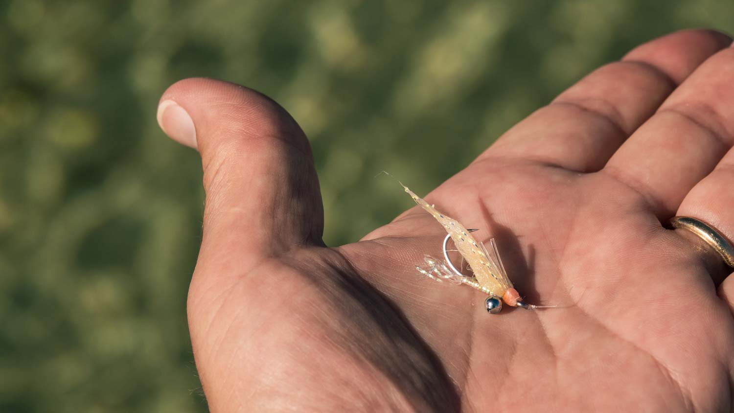 3 Reasons It's Time to Change Flies - Fly Fishing, Gink and Gasoline, How  to Fly Fish, Trout Fishing, Fly Tying