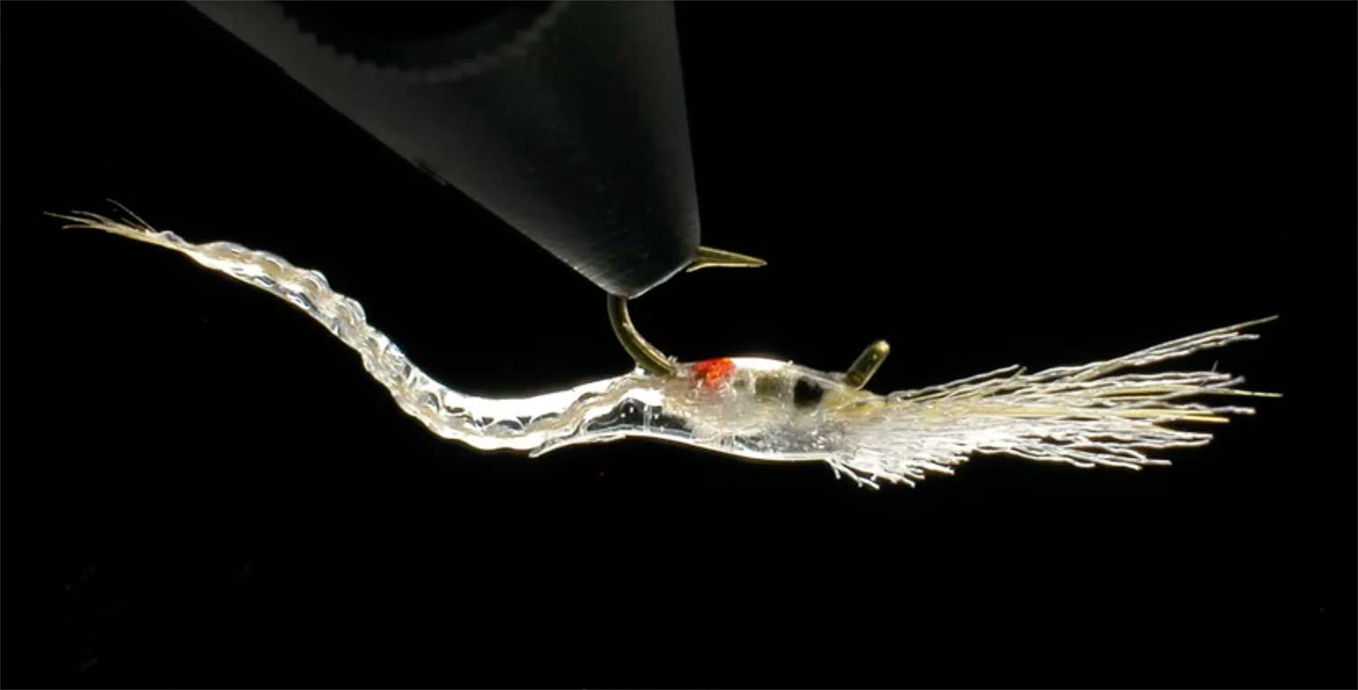 Shrimp Part 1: Mysis Shrimp - Fly Fishing