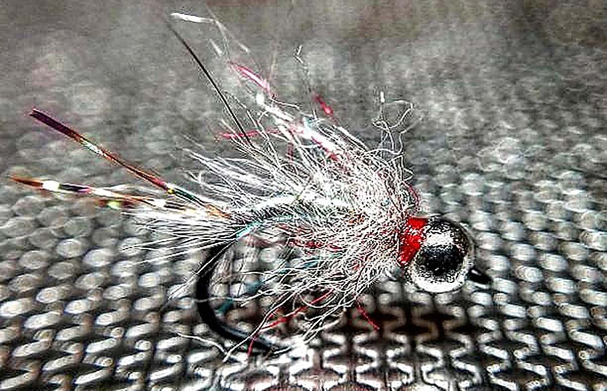If Lance Egan's Rainbow Warrior and my Fusion hooked up and had a beautiful  baby - Fly Fishing, Gink and Gasoline, How to Fly Fish, Trout Fishing, Fly Tying