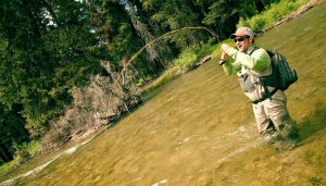 Fly Fishing Gear For Small Streams - Fly Fishing, Gink and Gasoline, How  to Fly Fish, Trout Fishing, Fly Tying