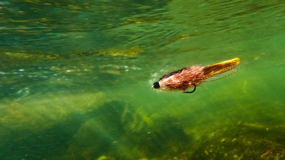 Streamers for Small Streams Fly Fishing Gink and Gasoline How to