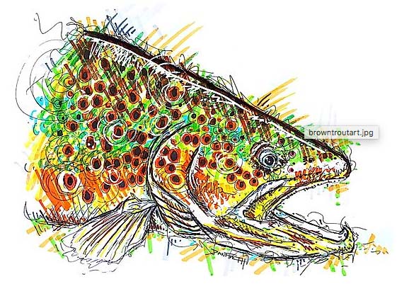 The Andromeda Strain - Fly Fishing | Gink and Gasoline | How to Fly ...