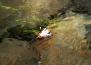 Small Stream Reflections: A Fly Rod